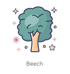 European Beech