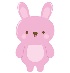 Rabbit Kawaii Animal