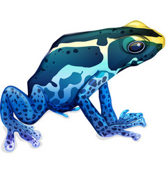 Poison Dart Frog