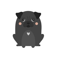 Cute Black Pug Dog