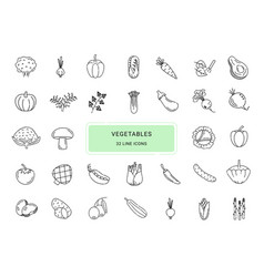 Vegetables 32 Line Icons