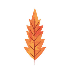 Autumn Leaf Icon