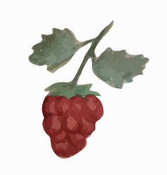 A Raspberry On A White Background