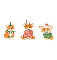 Christmas Postcard With Cute Corgi