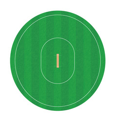 Cricket Pitch And Ground Top View