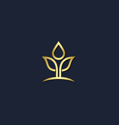 Plant Leaf Seed Droplet Organic Gold Logo