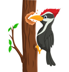 Cartoon Cute Woodpecker Bird On Tree