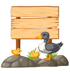 Cartoon Ducks Near A Blank Wooden Signpost