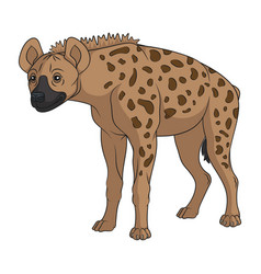 Color With Spotted Hyena