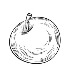 Hand Drawn Apple