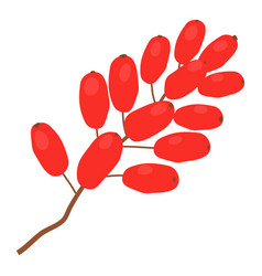 Sumac Icon Cartoon Style