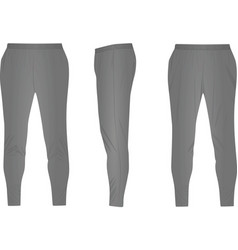 Gray Tracksuit Bottom