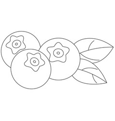 Blueberries Isolated Coloring Page Hand Drawn