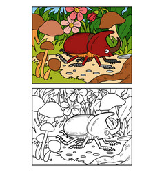 Coloring Book For Children Rhinoceros Beetle