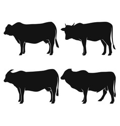 Set Simple Cow