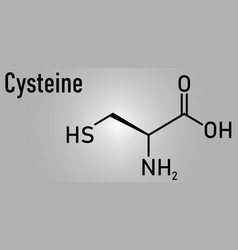 Cysteine Or L-cysteine Amino Acid Molecule