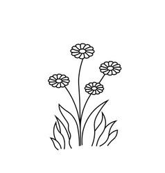 Flower Line Drawing In Outline Style