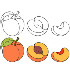 Peach Isolated Coloring Page Hand Drawn For Kids