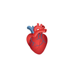 Realistic Volumetric Red Human Heart Icon