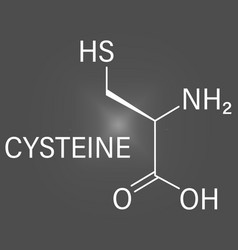 Cysteine Or L-cysteine Amino Acid Molecule