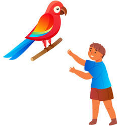 Little Boy Paying With Pet Parrot Child Learning