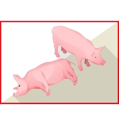 Pig Isometric Flat 3d