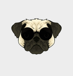 Pug Dog Head On White Background