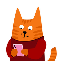 Cat In A Red Hoodie Reads Message Smartphon