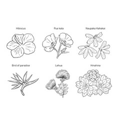 Assorted Hawaiian Flowers In Black And White