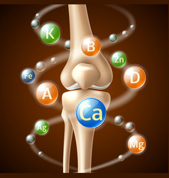 Realistic Calcium Benefits For Human Bones