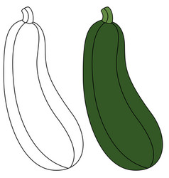 Zucchini Isolated Coloring Page Hand Drawn