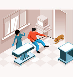 Veterinary Isometric