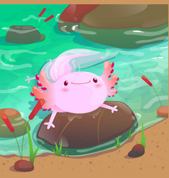 Axolotl In A River