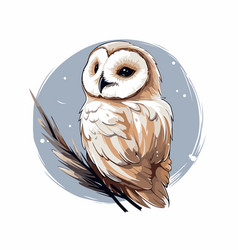 Owl On A White Background