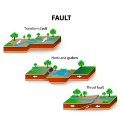 Faults