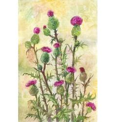 Watercolor Thistle Poster Postcard