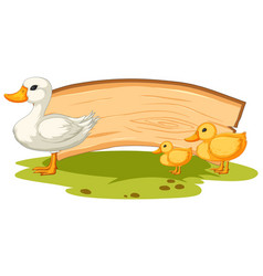 Ducks Beside A Wooden Sign