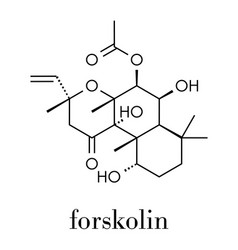 Forskolin Coleonol Molecule Activates The Enzyme