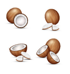 Set Of Coconuts Realistic Whole Coco Halves