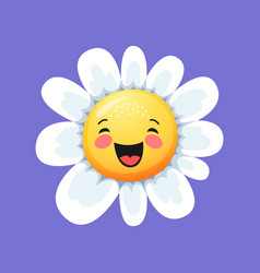 Camomile Smile Daisy Flower Laughing Chamomile