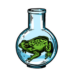 Frog Animal In Laboratory Flask Engraving