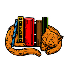 Sleeping Cat Around Books Engraving