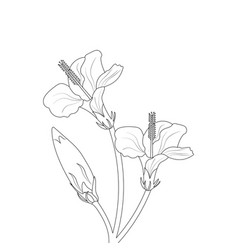 Flower Line Art Drawing Black Stroke