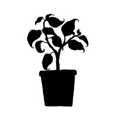 Silhouette Indoor Potted House Plant