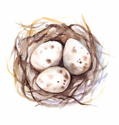 Watercolor Nest With Quail Eggs Isolated