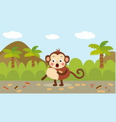 Cute Monkey Picking Peanuts