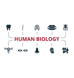 Human Biology Set Creative Icons Tooth Spine Rib