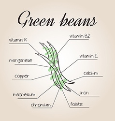 Nutrients List For Green Beans