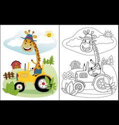 Coloring Book Of Funny Giraffe Driving Tractor