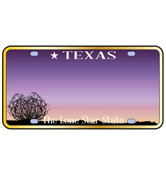 Texas License Plate